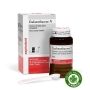 Xi măng trám bít ống tuỷ Endomethasone Septodont - Lọ 14g