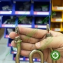 Điện trở thay thế cho máy ép máng tẩy trắng