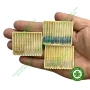 Trâm gai nội nha Việt Nam - Trâm gai Tài trắng, vàng, xanh