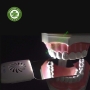 Bộ gương chụp ảnh trong miệng có đèn Led và quạt chống hơi nước
