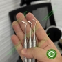 Cây trám và điêu khắc composite Elite Singapore
