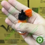 Keo dán nha khoa 3M Single Bond 2 - Keo dán Nano 2 bước