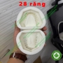 Mẫu 28 răng 