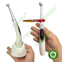 Đèn trám quang trùng hợp composite và chỉnh nha COXO DB686 SWIFT