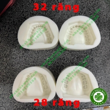 Mould đổ đế toàn hàm mẫu hàm răng lý tưởng 2 hàm trên và dưới